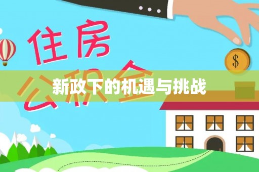 新建新政下的机遇与挑战