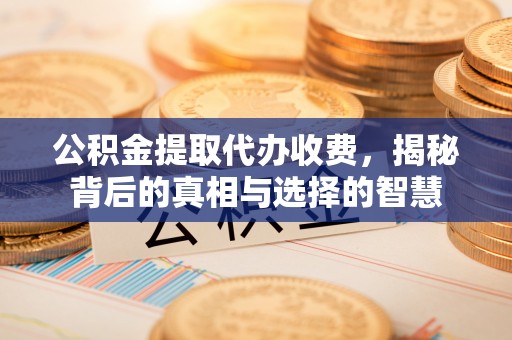 新建公积金提取代办收费，揭秘背后的真相与选择的智慧