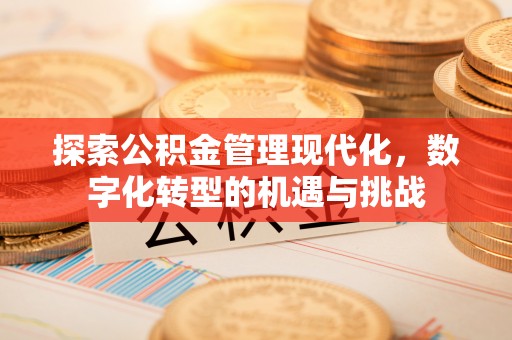 新建探索公积金管理现代化，数字化转型的机遇与挑战