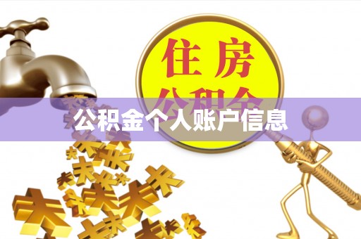 新建公积金个人账户信息