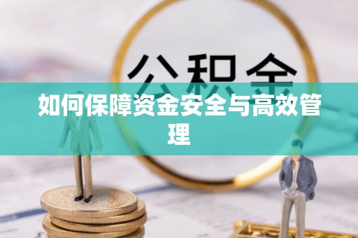 新建如何保障资金安全与高效管理