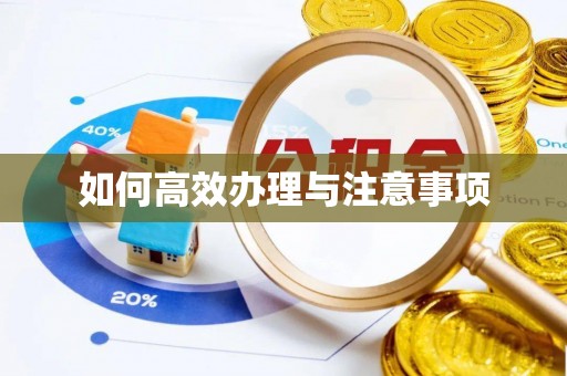 新建如何高效办理与注意事项