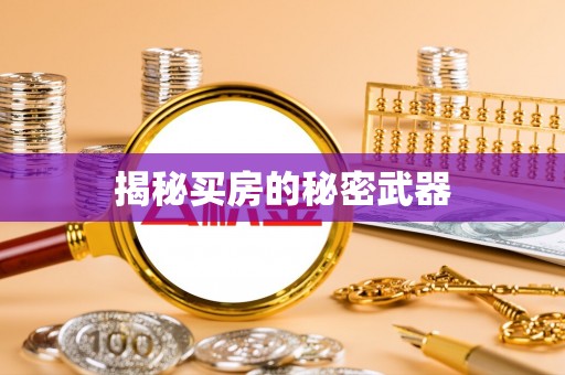新建揭秘买房的秘密武器