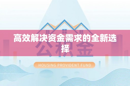 新建高效解决资金需求的全新选择