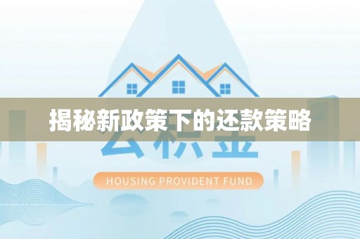新建揭秘新政策下的还款策略