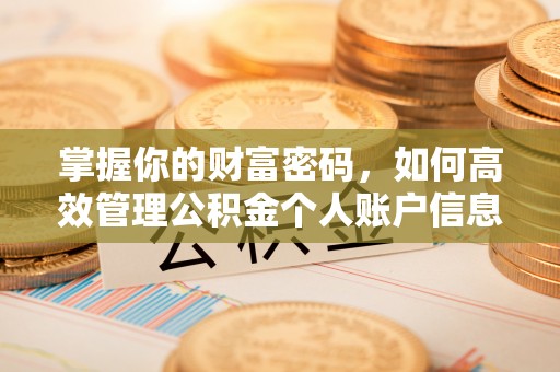 新建掌握你的财富密码，如何高效管理公积金个人账户信息