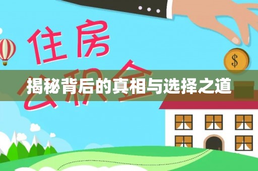 新建揭秘背后的真相与选择之道