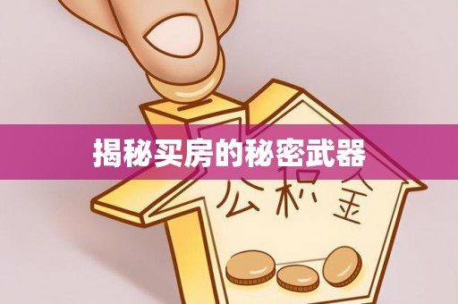 新建揭秘买房的秘密武器