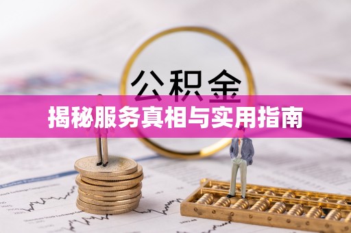 新建揭秘服务真相与实用指南