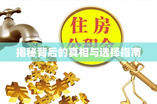 新建揭秘背后的真相与选择指南