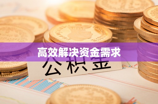 新建高效解决资金需求