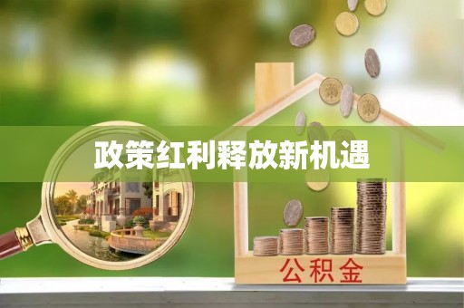 新建政策红利释放新机遇