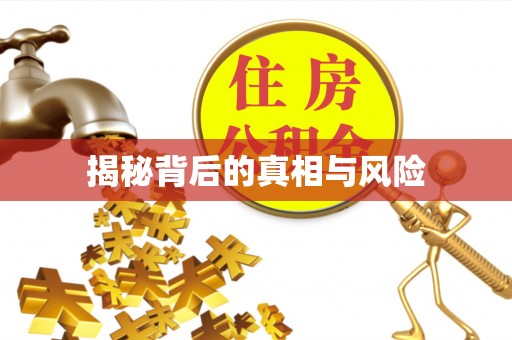 新建揭秘背后的真相与风险