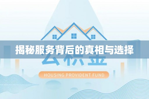 新建揭秘服务背后的真相与选择