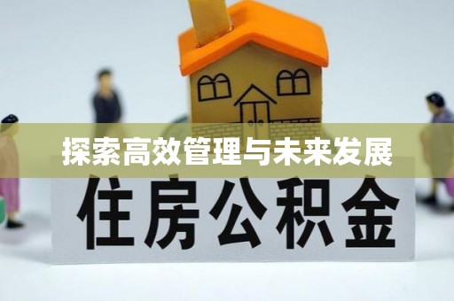 新建探索高效管理与未来发展