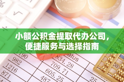 新建小额公积金提取代办公司，便捷服务与选择指南