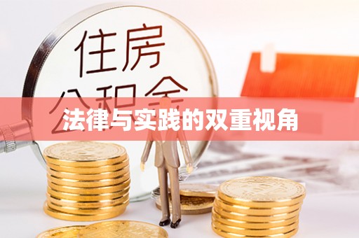 新建法律与实践的双重视角