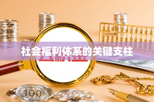 新建社会福利体系的关键支柱