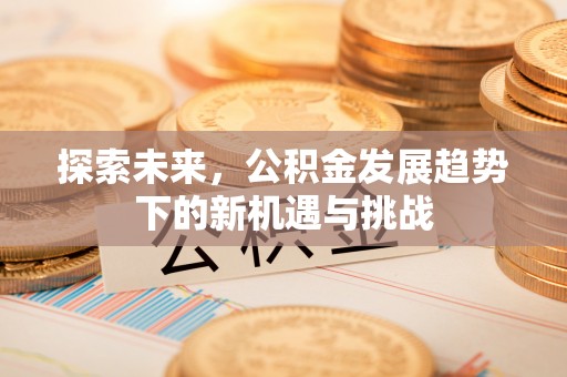 新建探索未来，公积金发展趋势下的新机遇与挑战