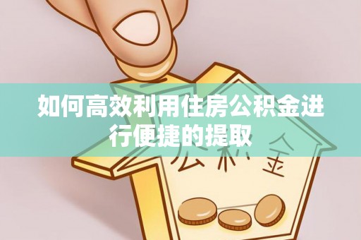 新建如何高效利用住房公积金进行便捷的提取