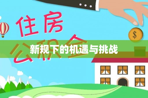 新建新规下的机遇与挑战