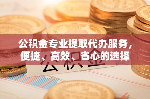 新建公积金专业提取代办服务，便捷、高效、省心的选择