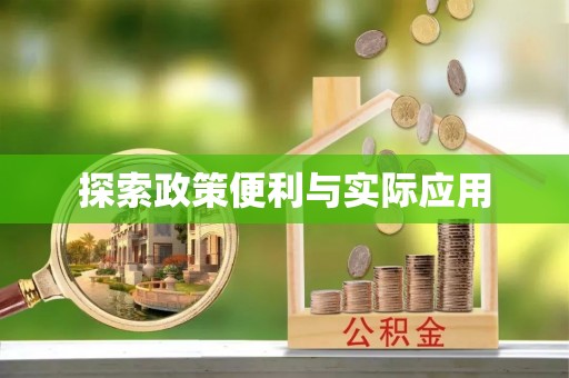 新建探索政策便利与实际应用