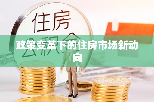 新建政策变革下的住房市场新动向