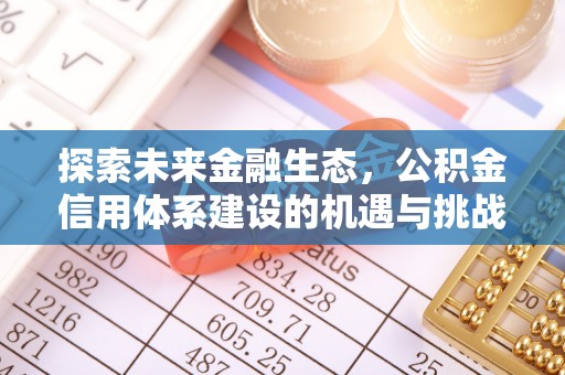 新建探索未来金融生态，公积金信用体系建设的机遇与挑战