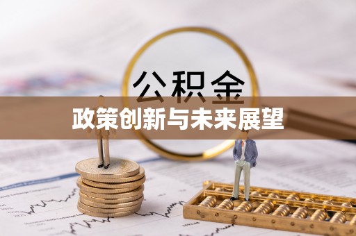 新建政策创新与未来展望